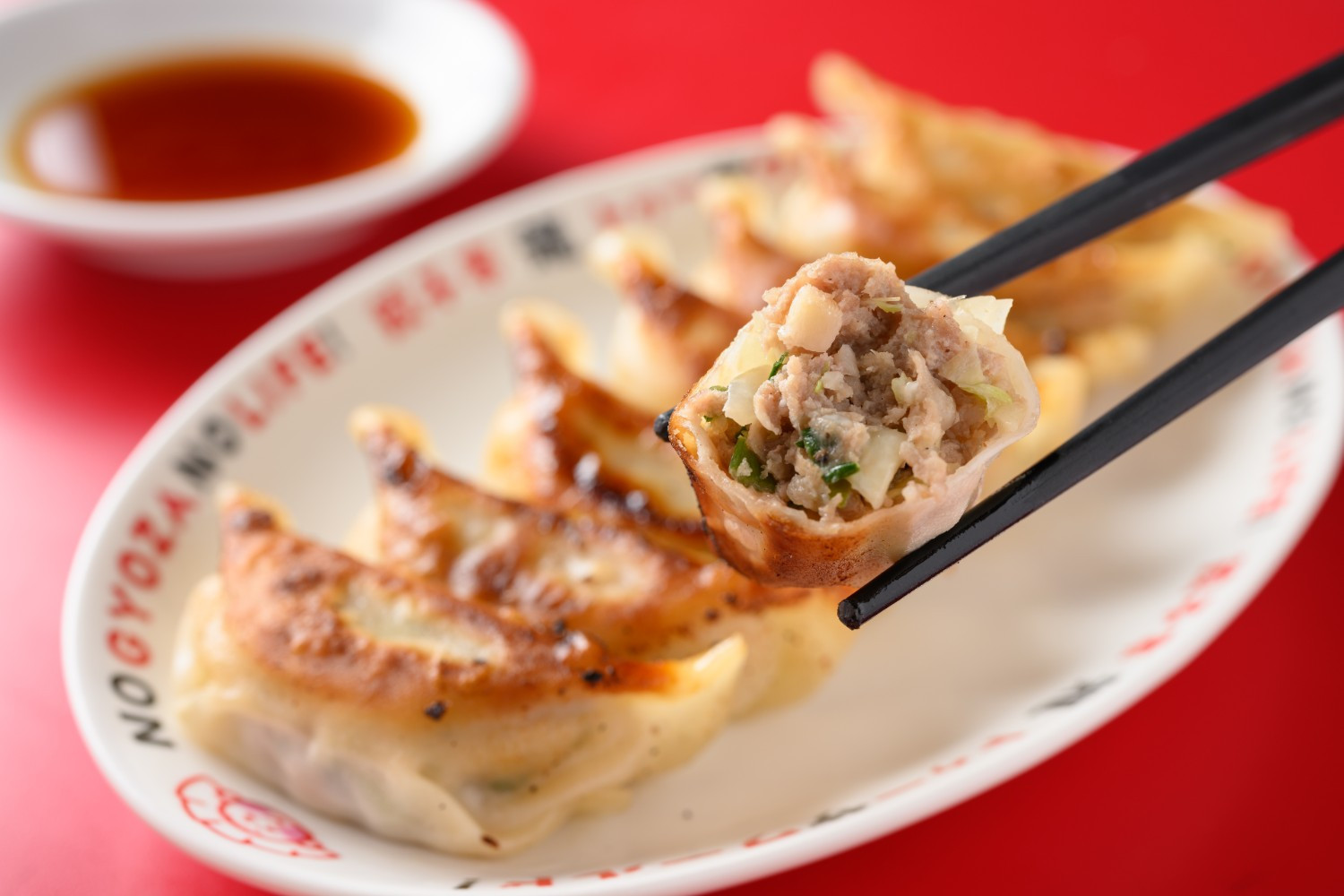 写真：井辻食産┃餃子家 龍 もち豚餃子