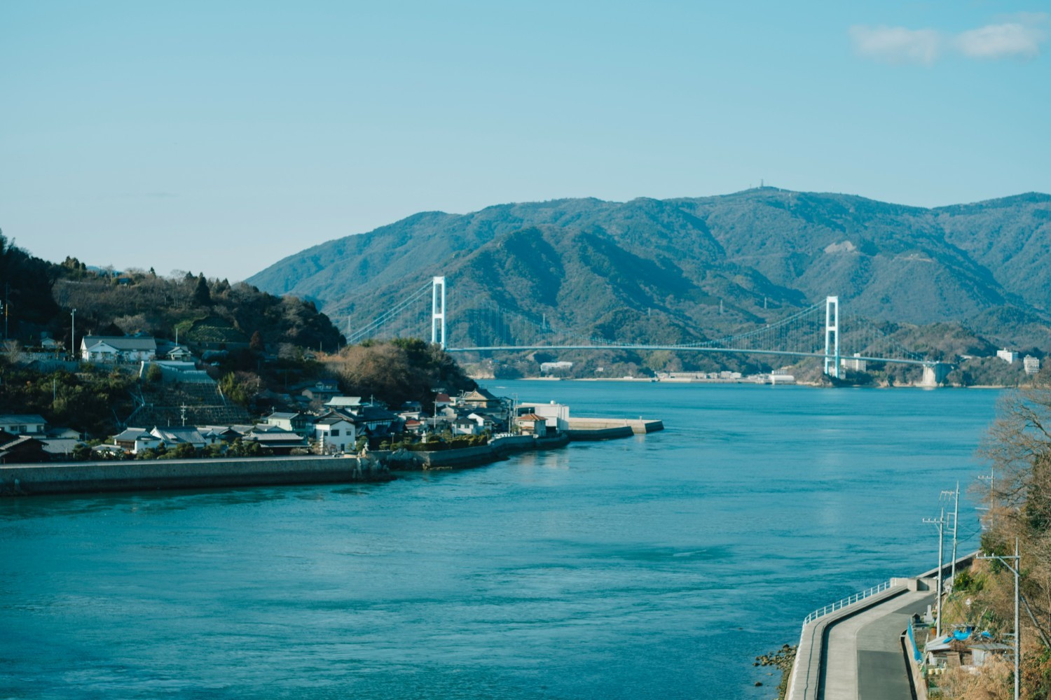 写真：島の屋｜島レモンの「唐揚げ」に「かける」たれ