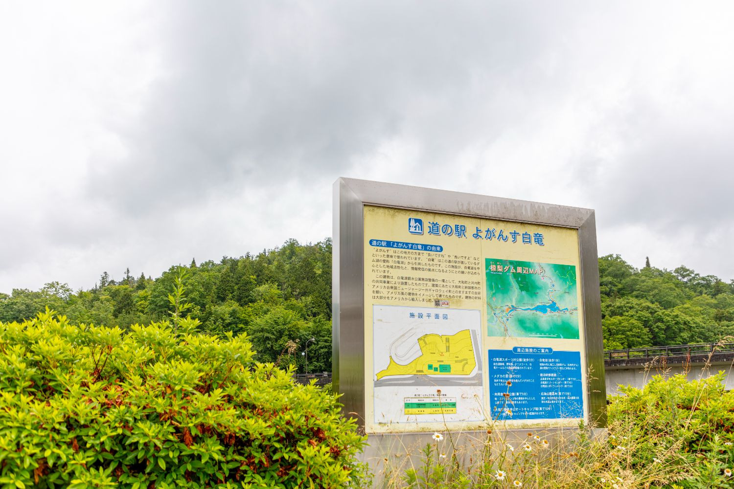 写真：よがんす白竜┃YOGANSUの酒