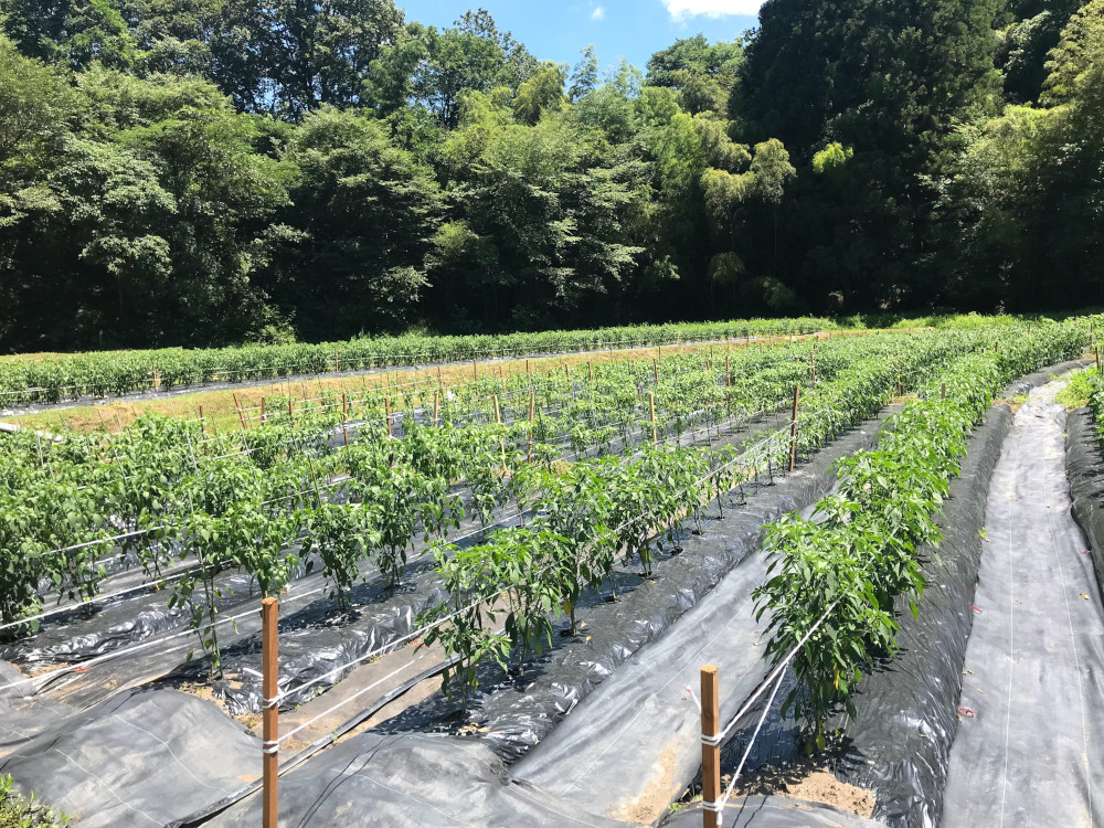 生産者の顔が見える食材にこだわり、 独自のブレンドで理想の味を実現