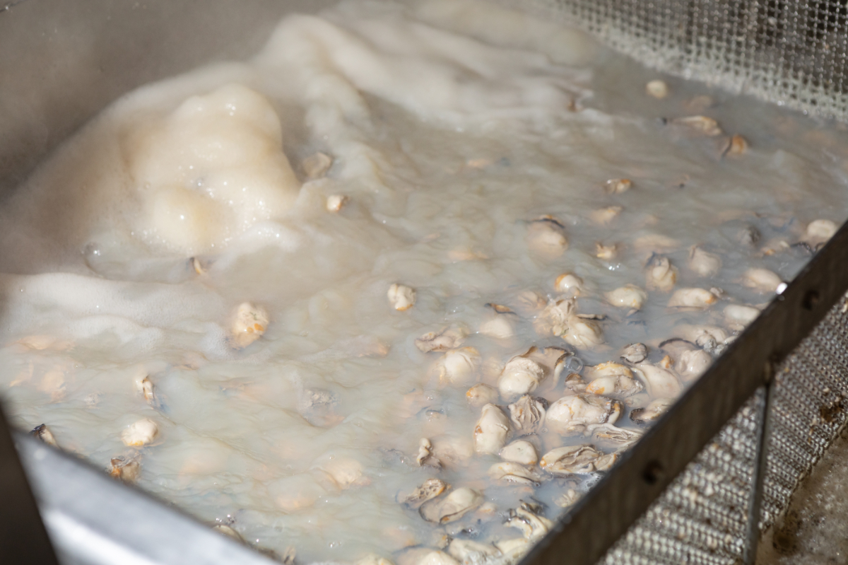 写真：政之助商店｜広島オイスター