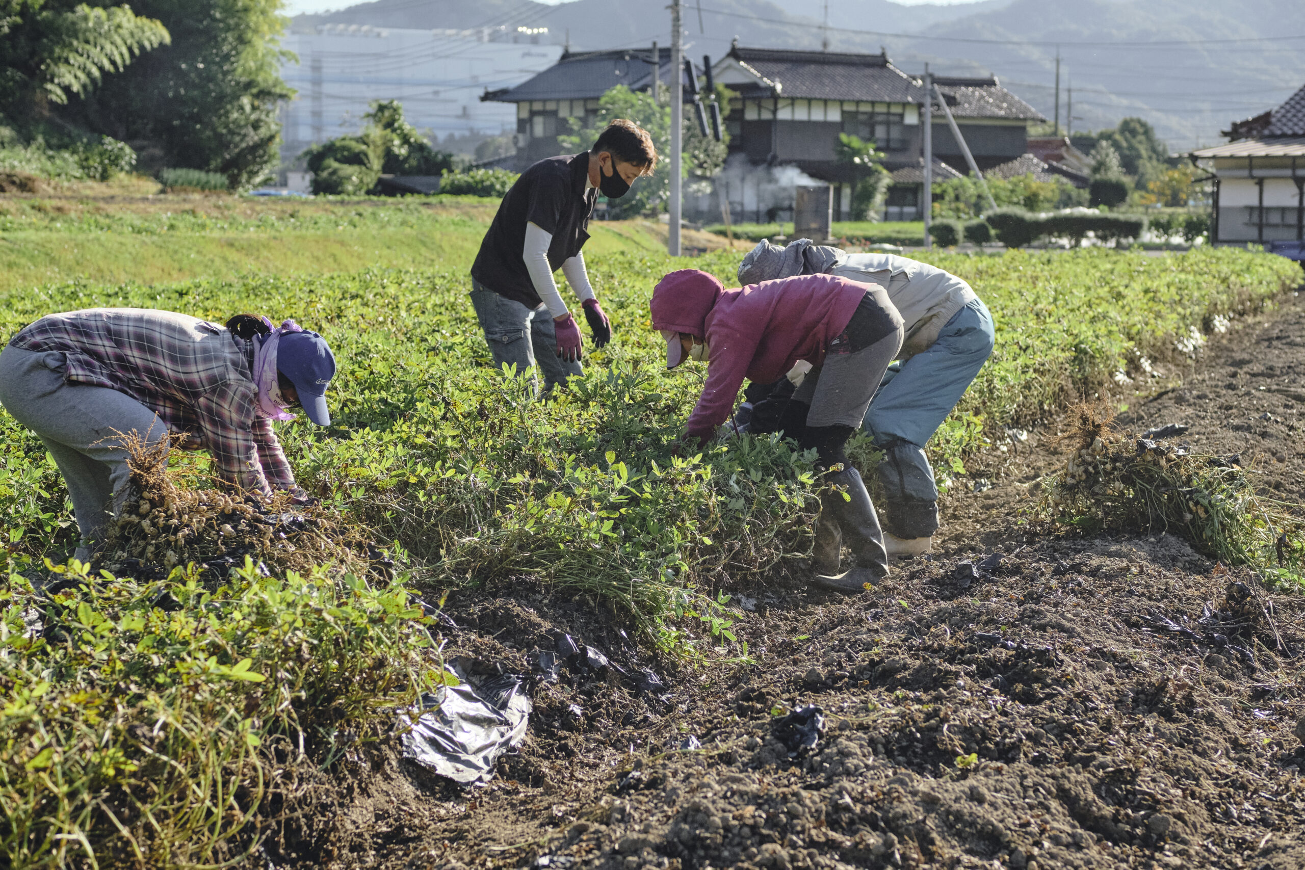 脇農園がこだわり続ける“健全な土づくり”