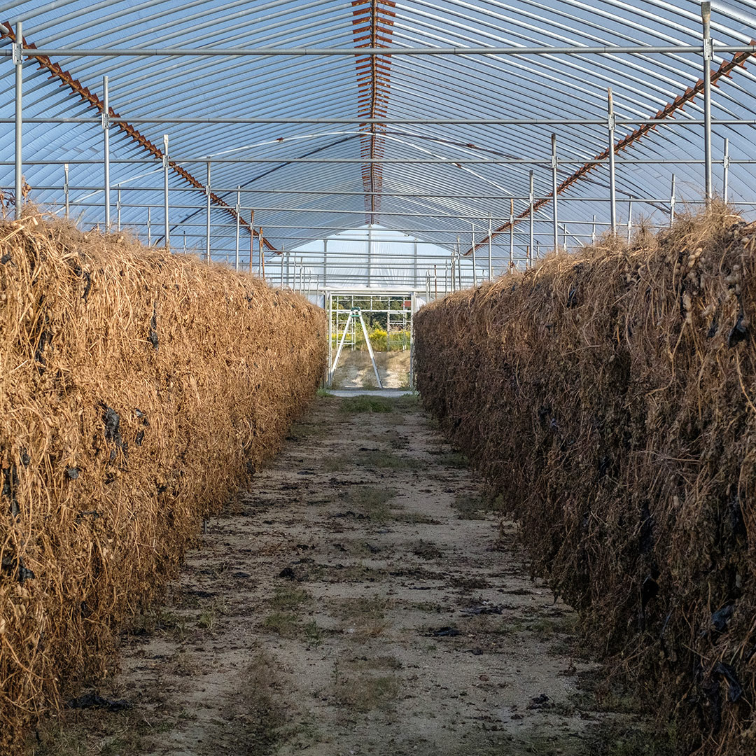秀品だけを使った、落花生そのもののペースト