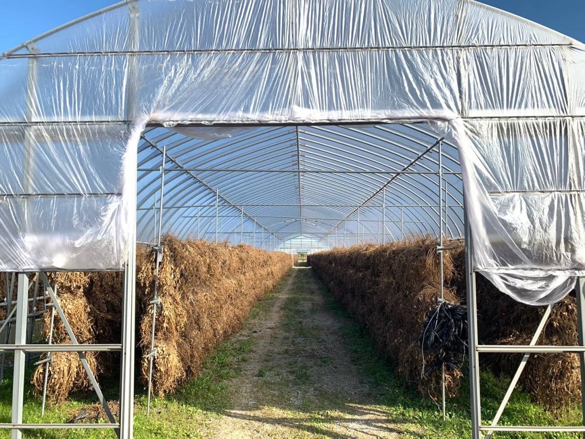 写真：土とね、/TUTITONE