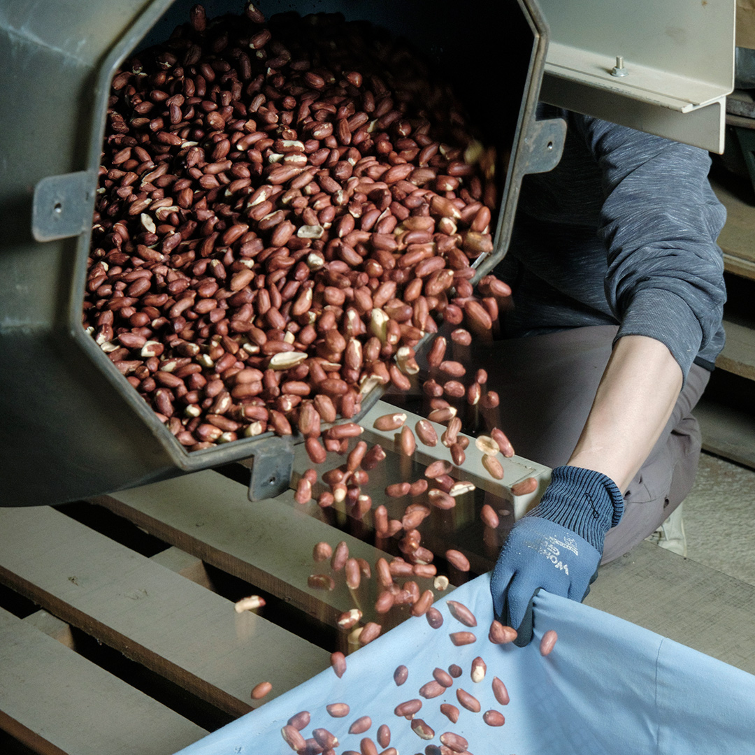 写真：土とね、/TUTITONE